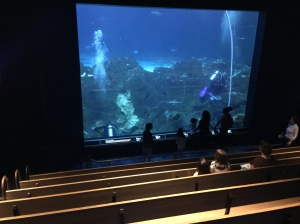 Adv Aquarium 2016 04